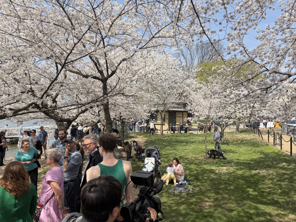 Stetson Miller tweet media