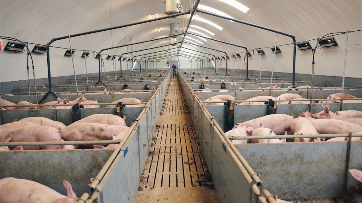 Torben Rose 🇺🇦 #SlavaUkraini 🇩🇰🇬🇱🇫🇴🇪🇺 tweet media