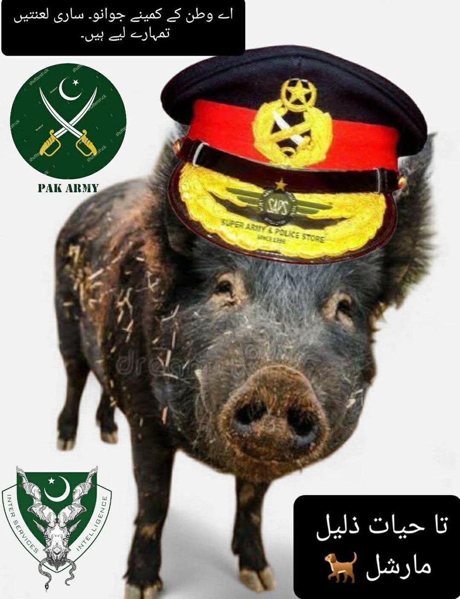 Bilalhamishk's tweet photo. @enkidureborn دنیا کی غلیظ فوج پاکستان کے حصے میں آئی ہے🖐🖐 https://t.co/RK3ilQfYPp
