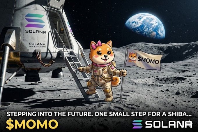 muathuthu604's tweet photo. @HTX_Global Hodl $momo

G4zwEA9NSd3nMBbEj31MMPq2853Brx2oGsKzex3ebonk https://t.co/ptrMylXyzH