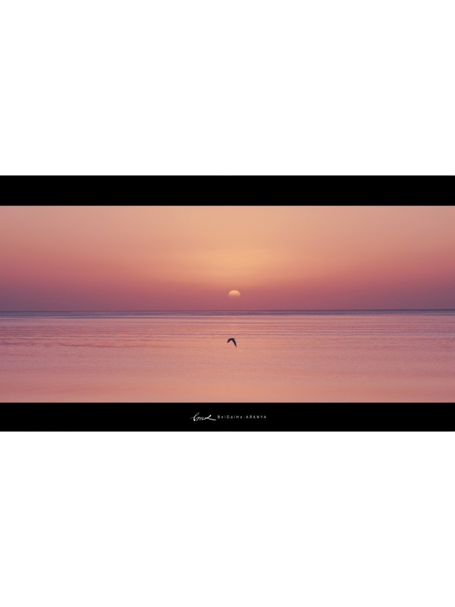 Cacca Gialla tweet media