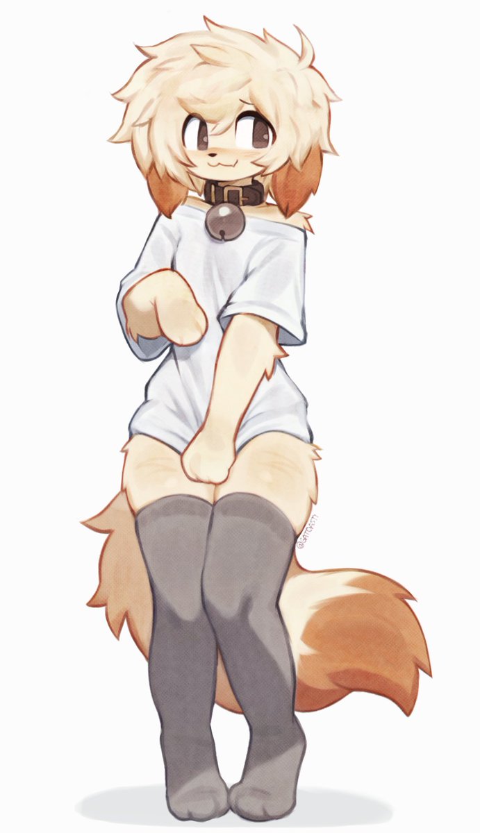 𝗧𝗢𝗔𝗦𝗧 tweet media