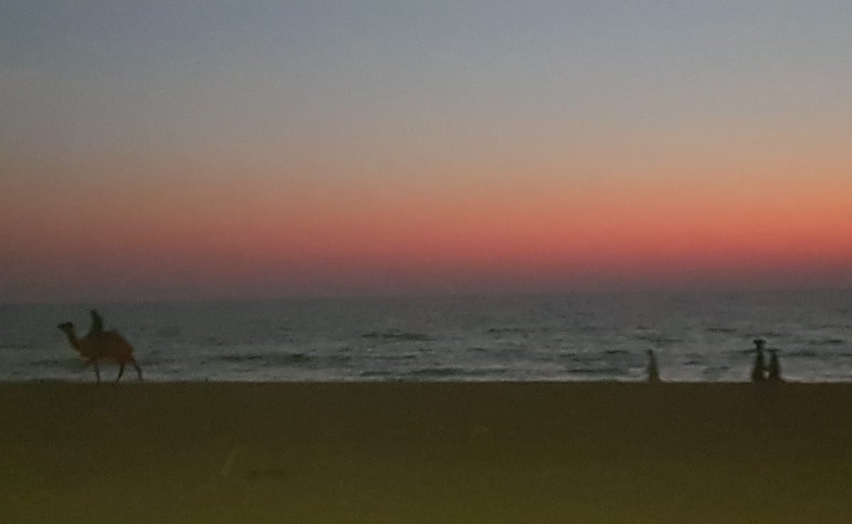 defectedsi tweet media