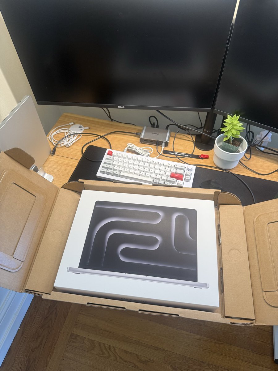 Gus Trigos tweet media