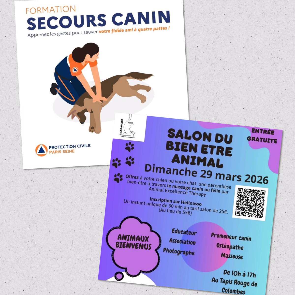 pcps92col's tweet photo. Premiers Secours Canins 🐶

Nous serons présents ce dimanche 29 mars au Salon du Bien-être animal organisé au Tapis Rouge à #Colombes par l’association Chabada.

Au programme : des présentations sur les gestes de secours à porter sur nos amis à 4 pattes 🐾 https://t.co/LSWxgXaDMb