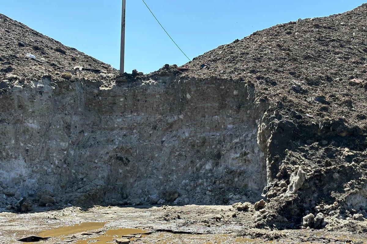 clara longo de freitas tweet media