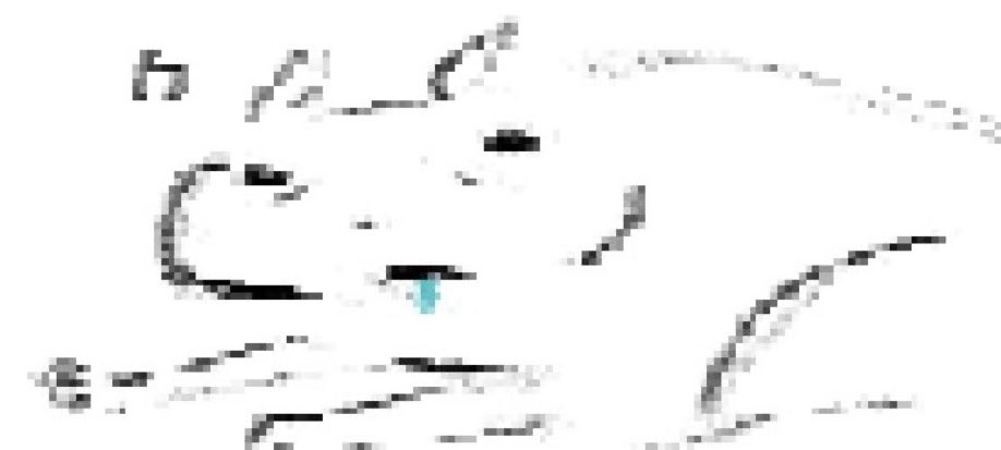 Boip or sumn ❄️ tweet media