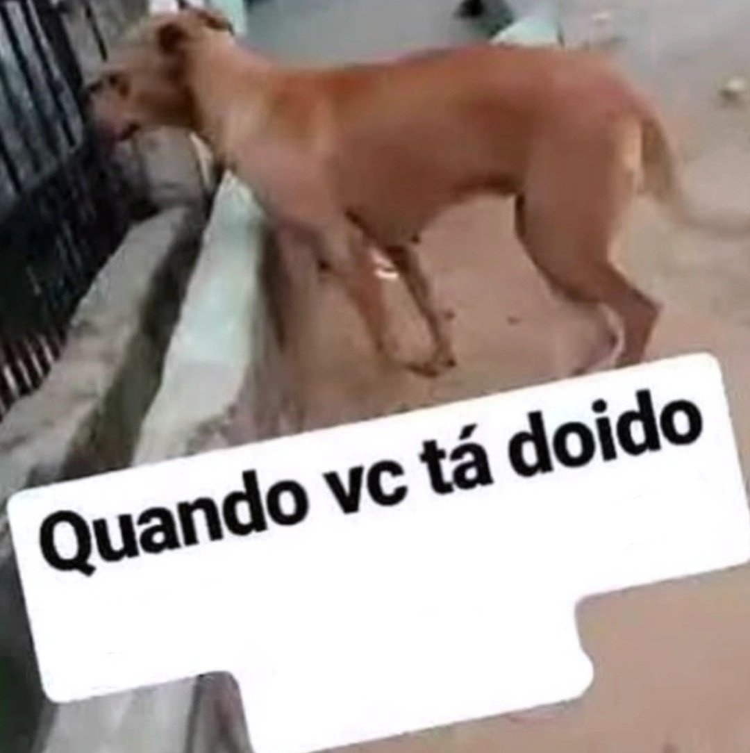 luc 🐱 tweet media