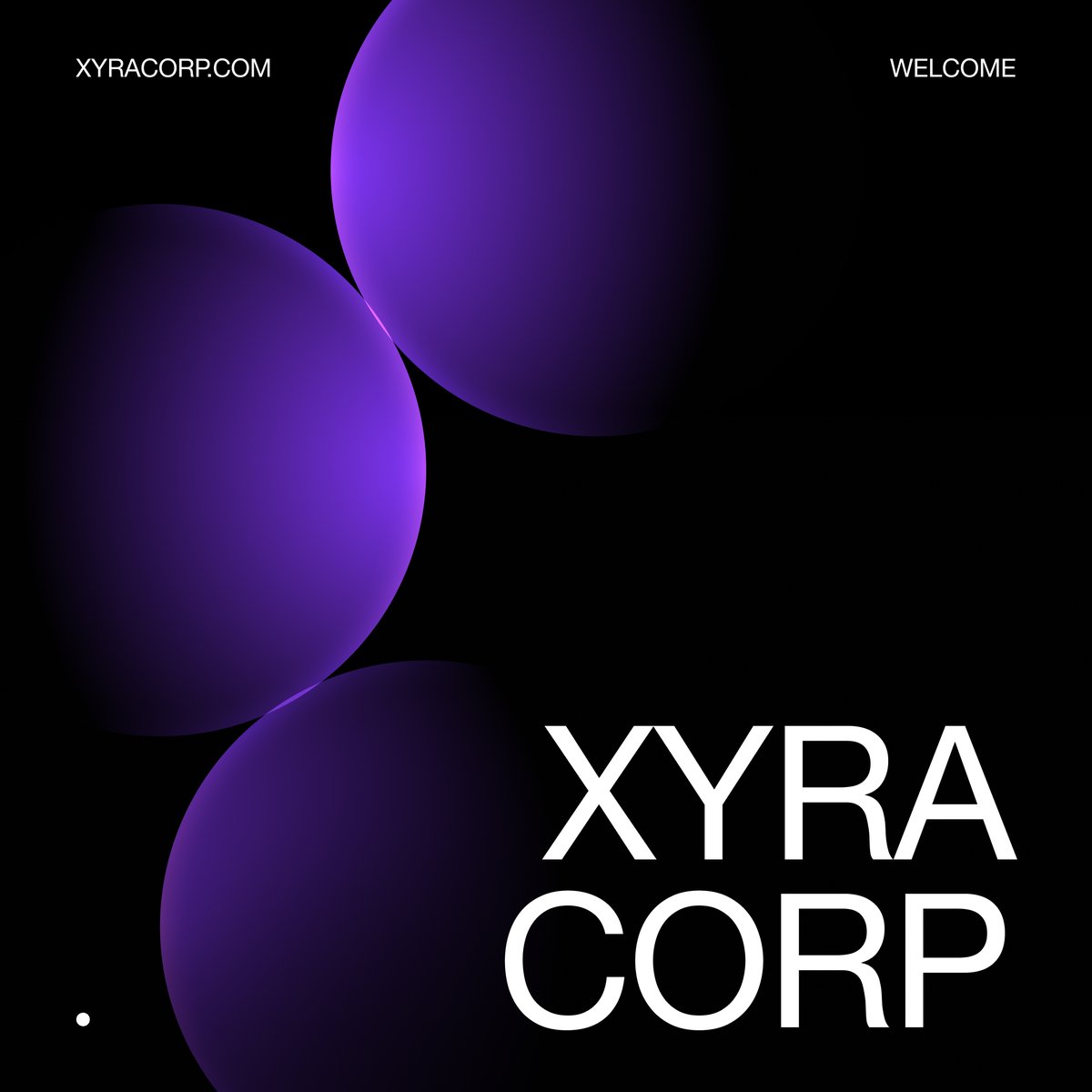 XYRA tweet media