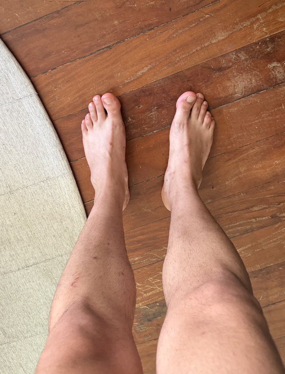 full time papi tweet media