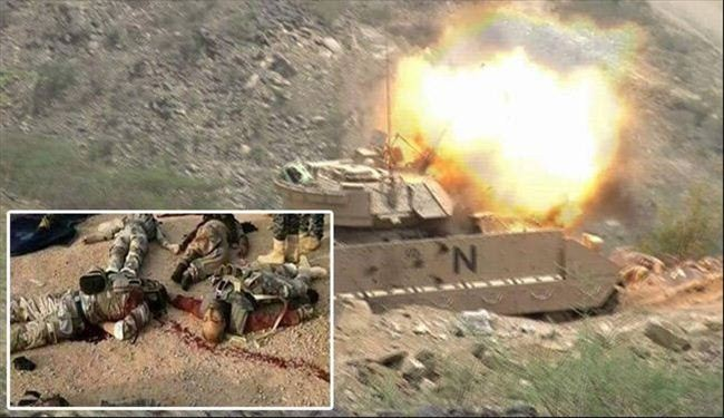 Islam atrees 🇪🇬🇵🇸📚 tweet media