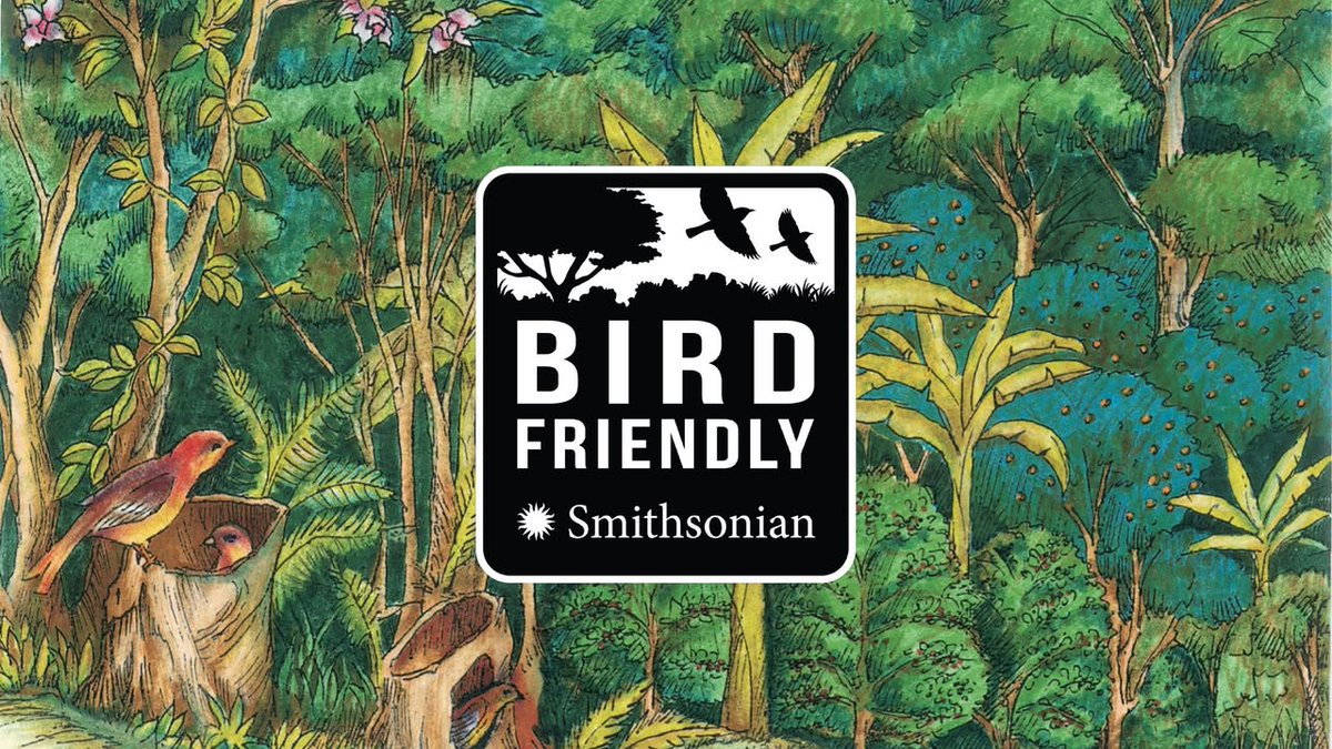 Smithsonian Migratory Bird Center tweet media