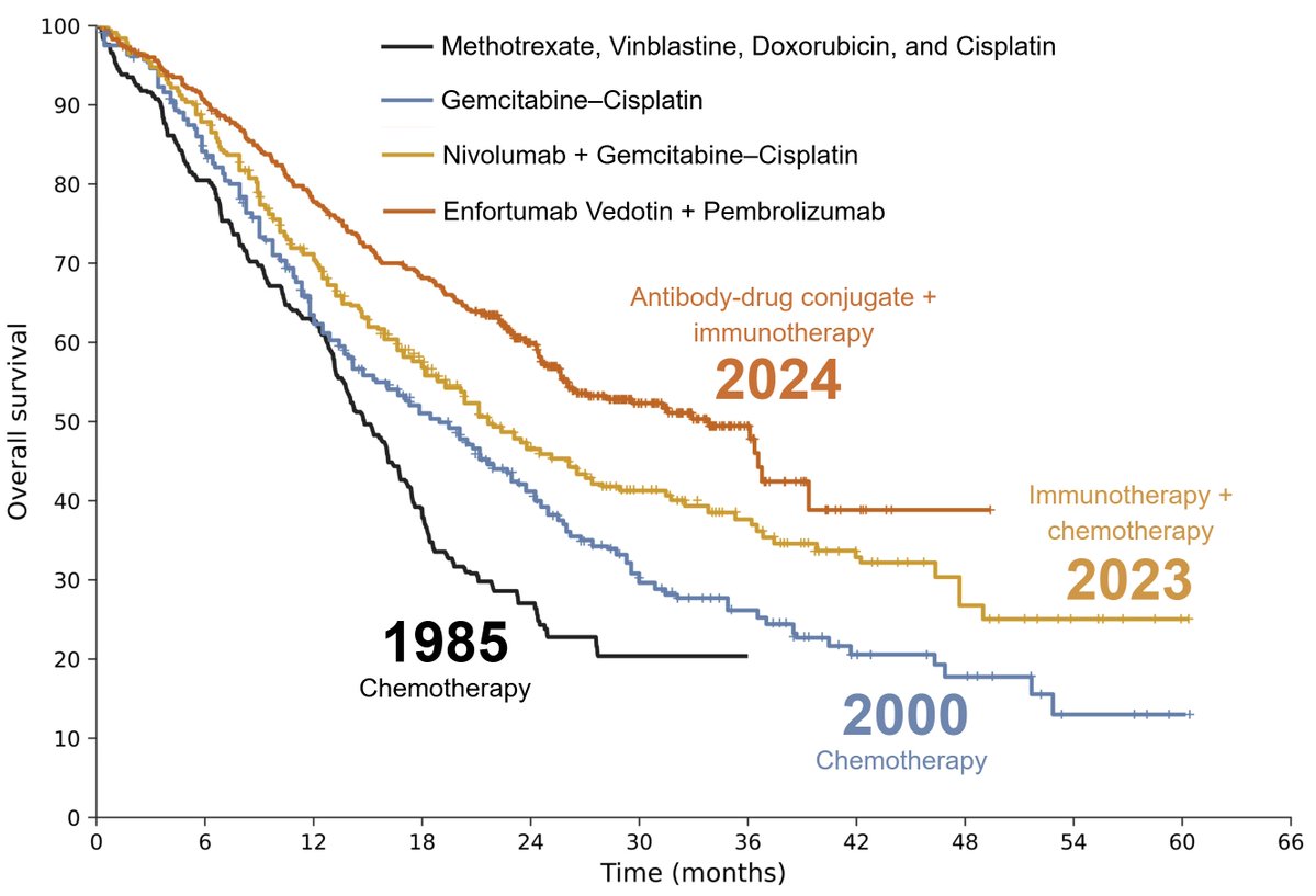 Samuel Hume tweet media