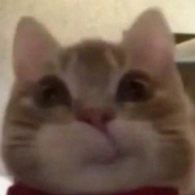 Cygnus 🏐 tweet media