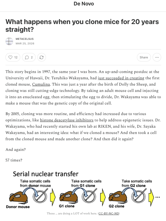 Niko McCarty. tweet media