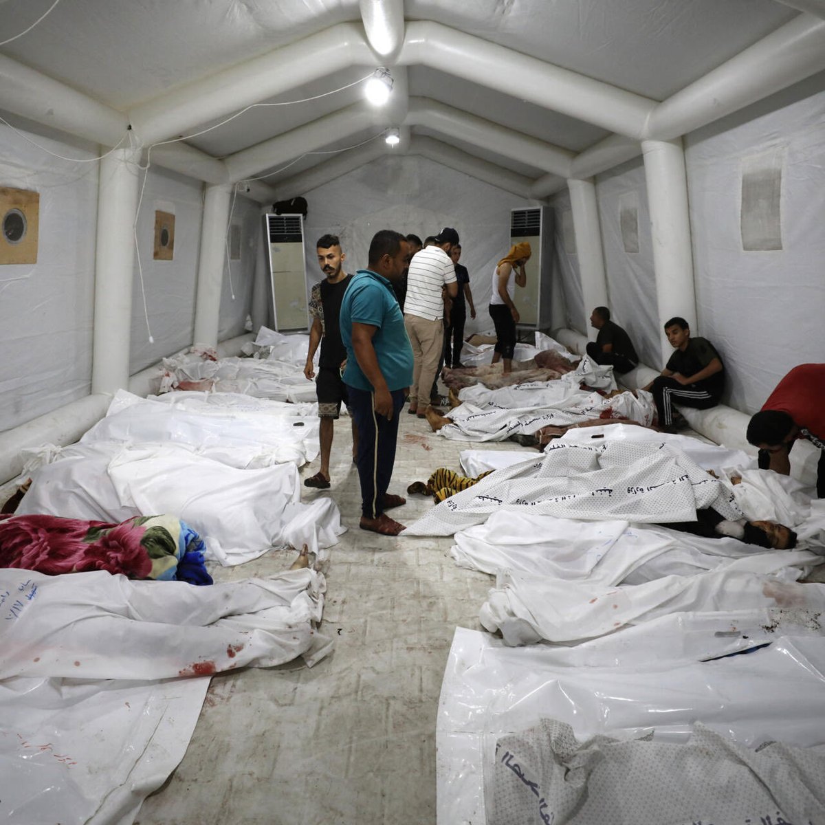 Maher El-Masri tweet media