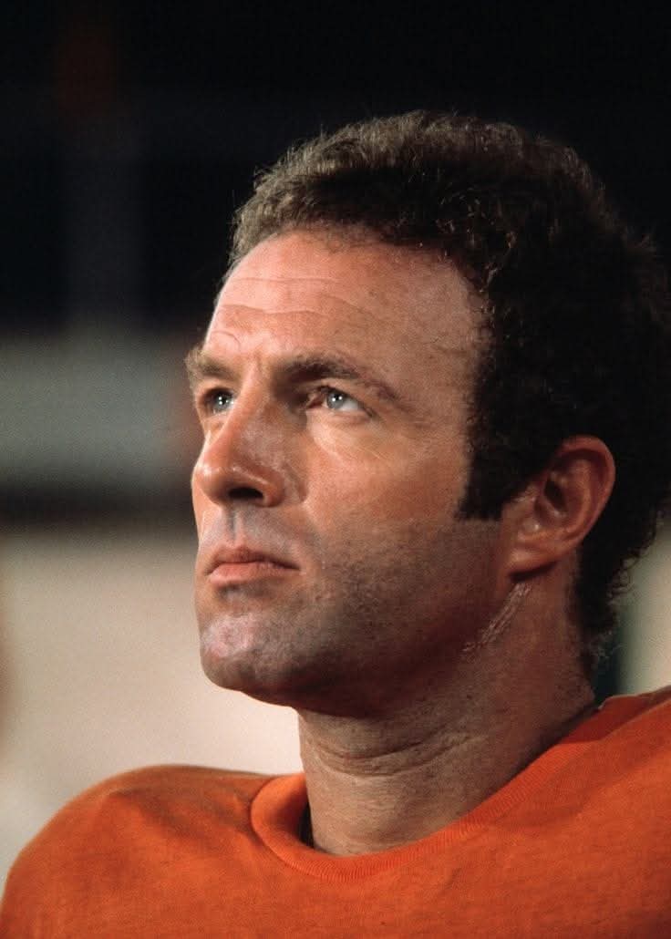 barbaravitali2's tweet photo. Remembering #JamesCaan March 26,1940_July 6,2022 (Age 82) #Rollerball #Misery #TheGodfather https://t.co/SMLbuYMP61
