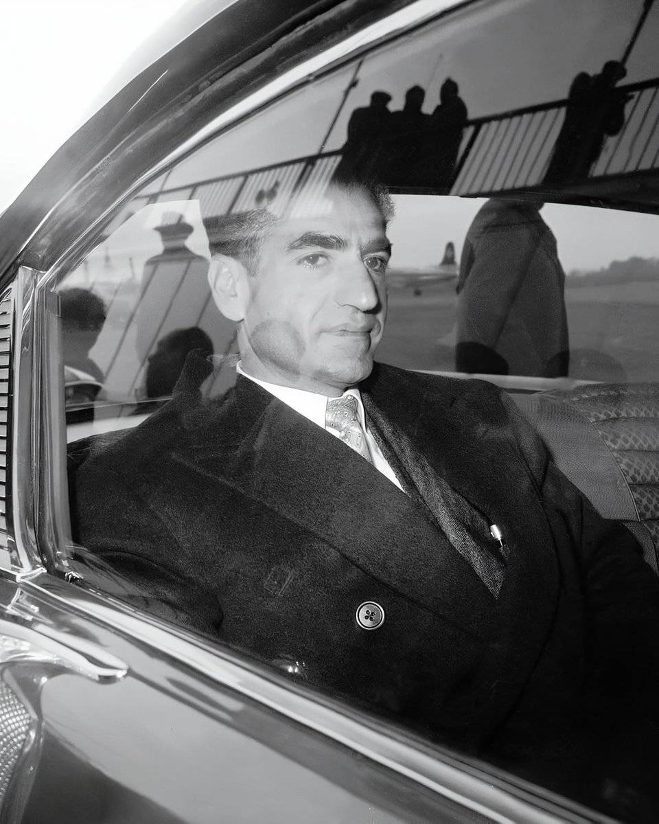 Payam Mohamadi tweet media