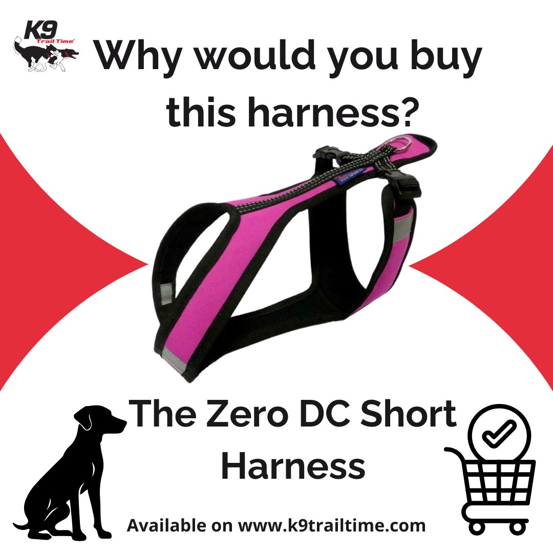 K9 Trail Time tweet media