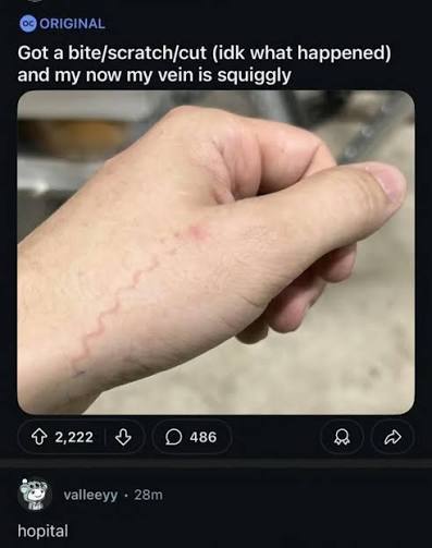 Semicolon__ tweet media