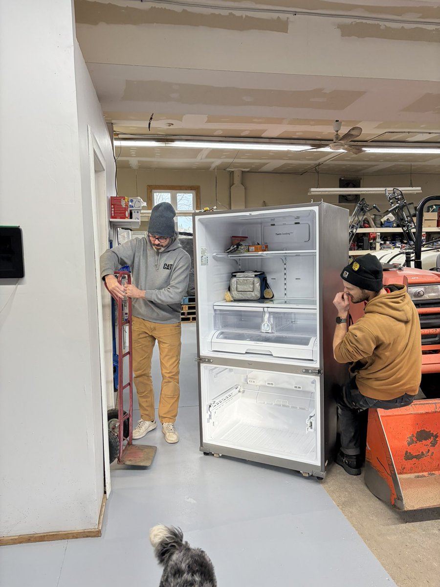 Lesley Thomas tweet media