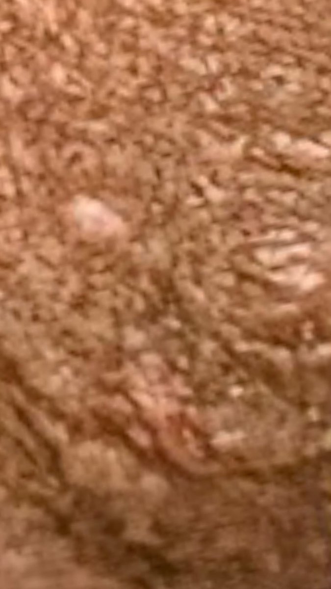 inez miomi🧚🏾‍♂️ tweet media