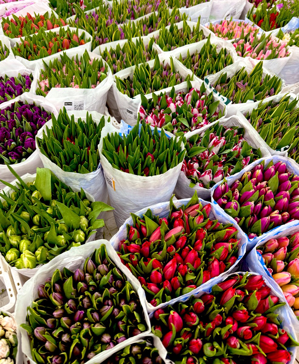 Aleksey A. Aleksandrov tweet media