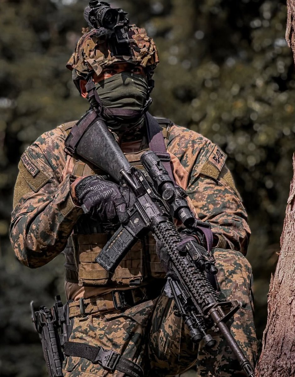 2S7 Pion tweet media