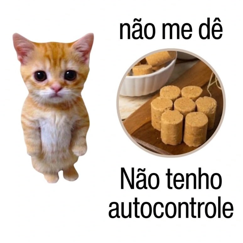 SpacyElf ★ tweet media