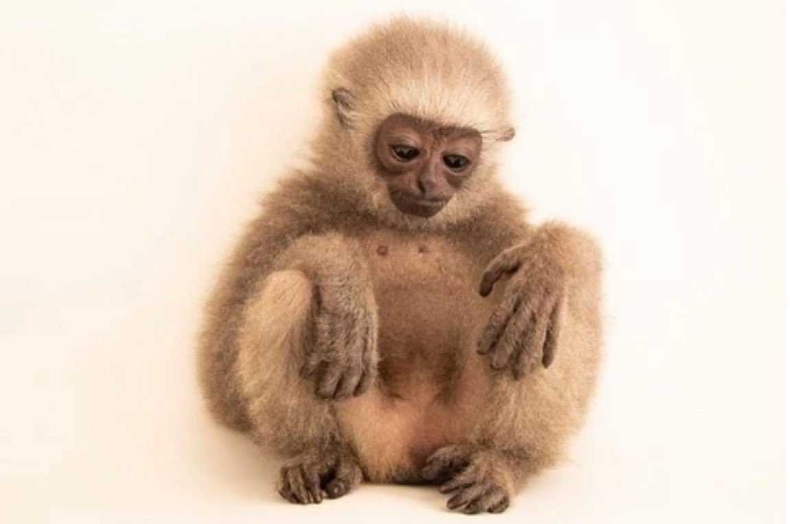 Orangutandreaaa's tweet photo. Why does everyone like to bully me and make me cry https://t.co/rxqdQdxCqE