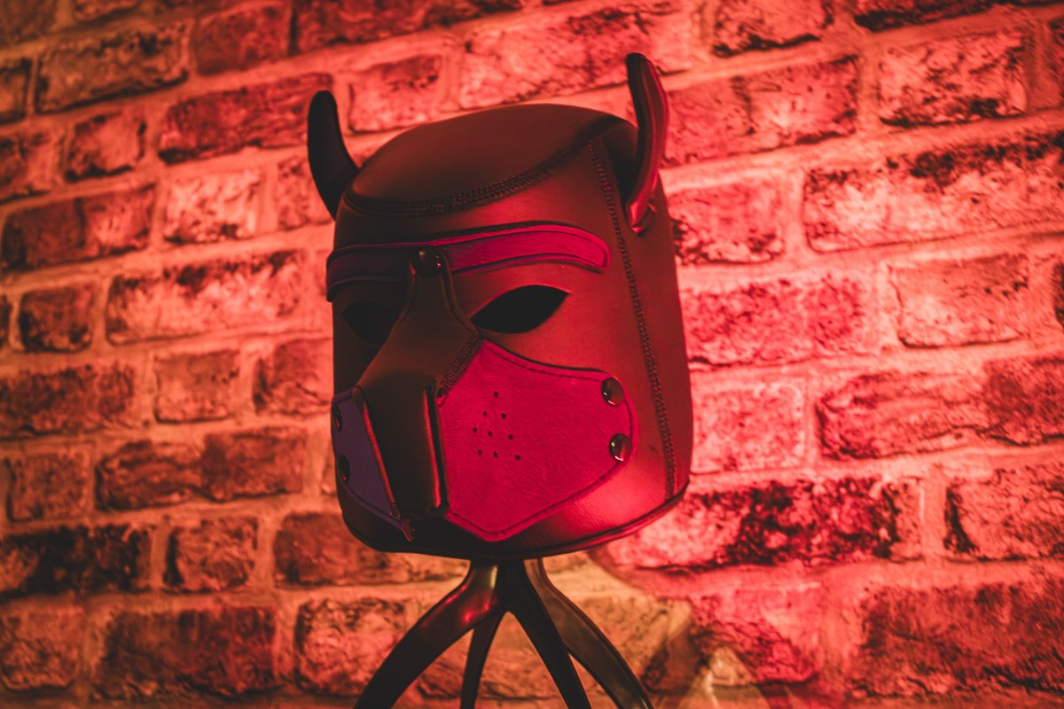 VexNoir's tweet photo. The pup hood got to enjoy being a starting test model for some photography today. I may have got a bit over excited and taken a rather large number of pictures👀

 @VixenStudios https://t.co/ieSaE3eZRx