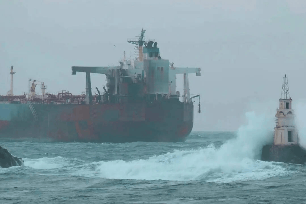 soL Haber tweet media