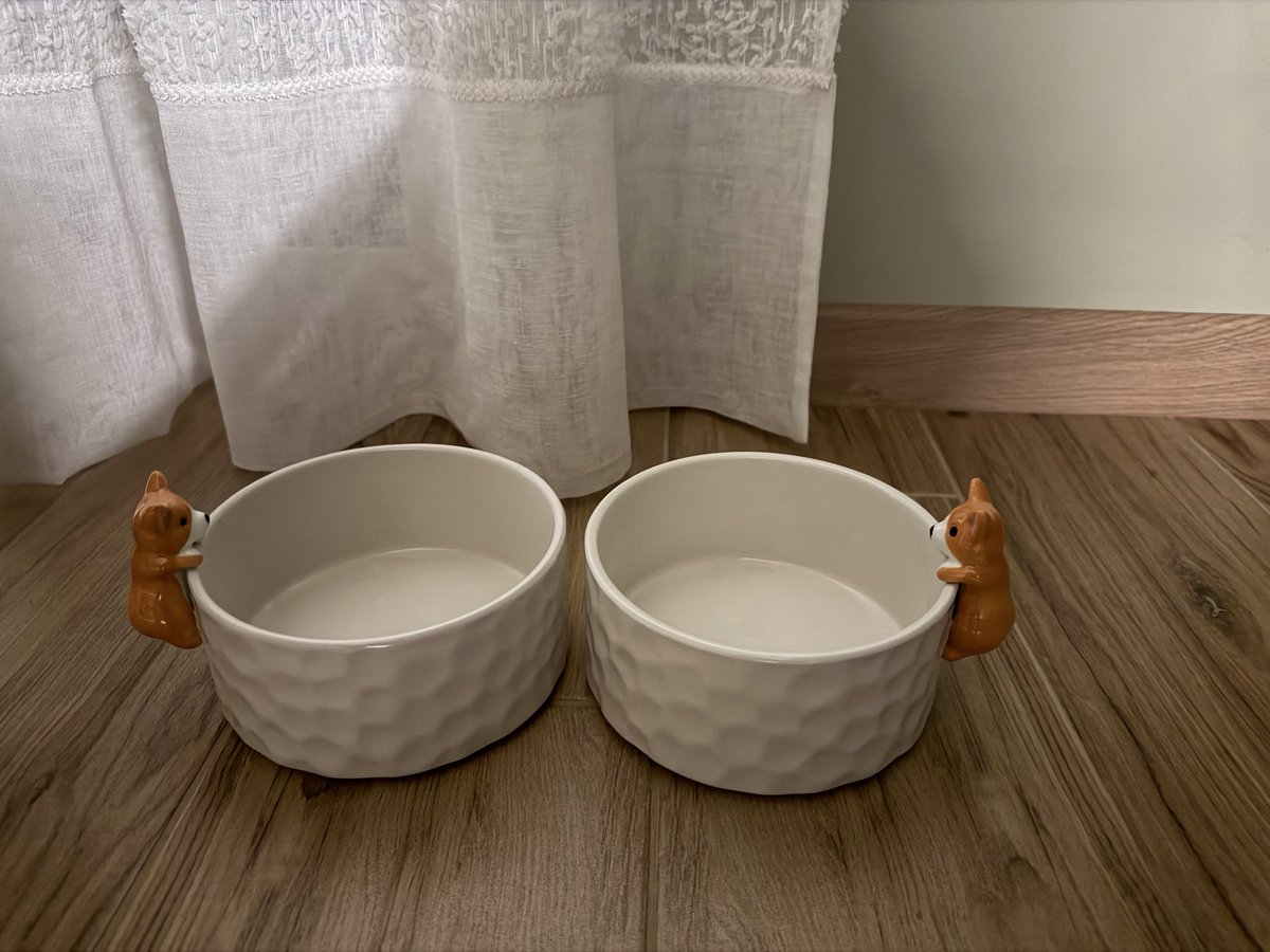 Solopizzochka tweet media