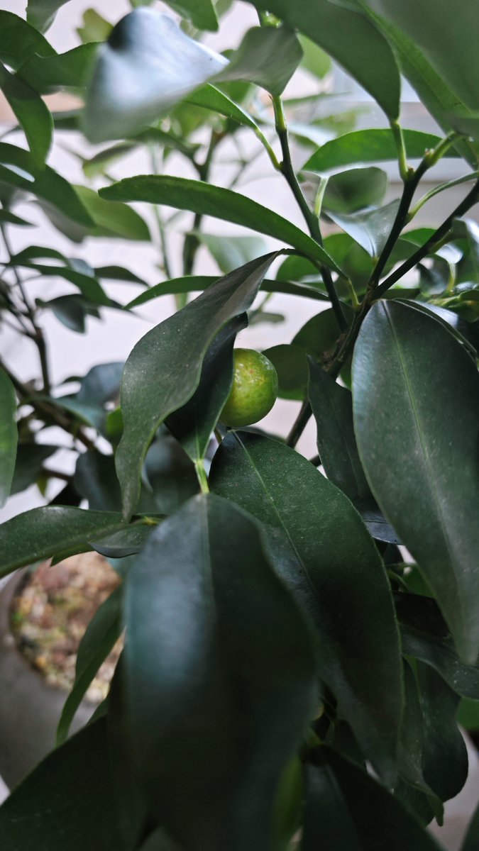 Terry Clarke tweet media