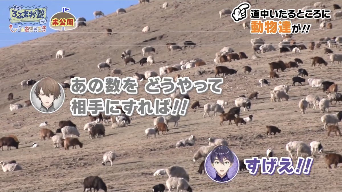 とりのえさ tweet media