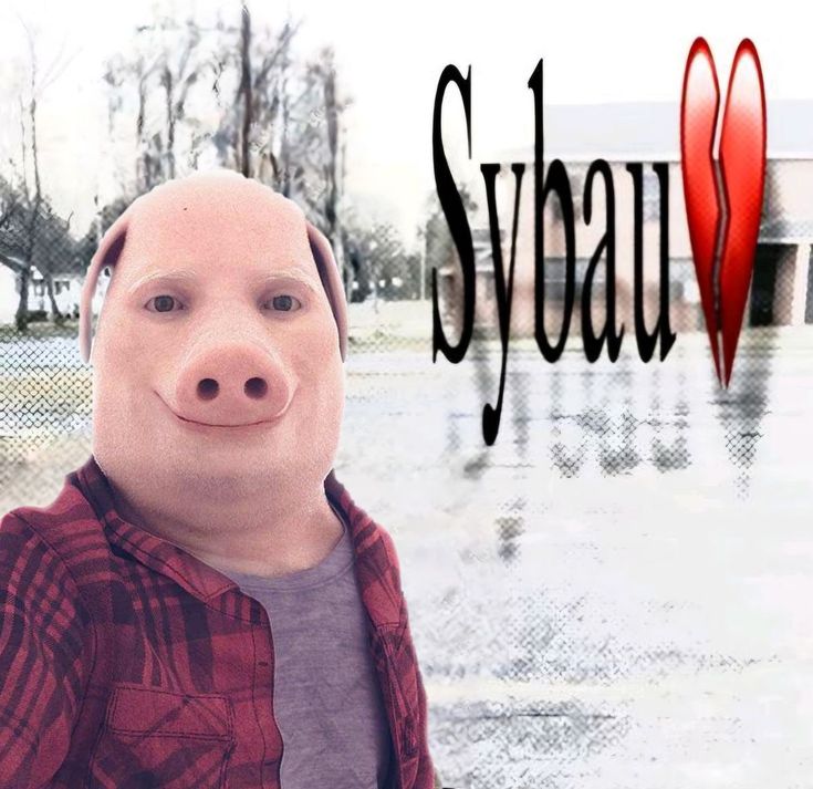 maruumamaru tweet media