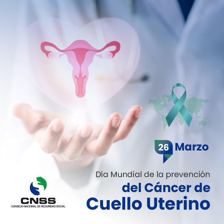 Consejo Nacional de Seguridad Social tweet media