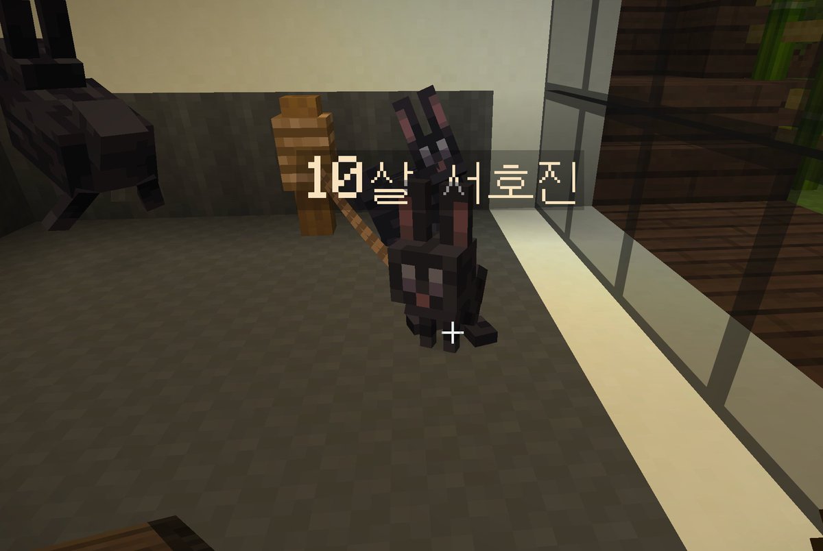 동숙개 tweet media