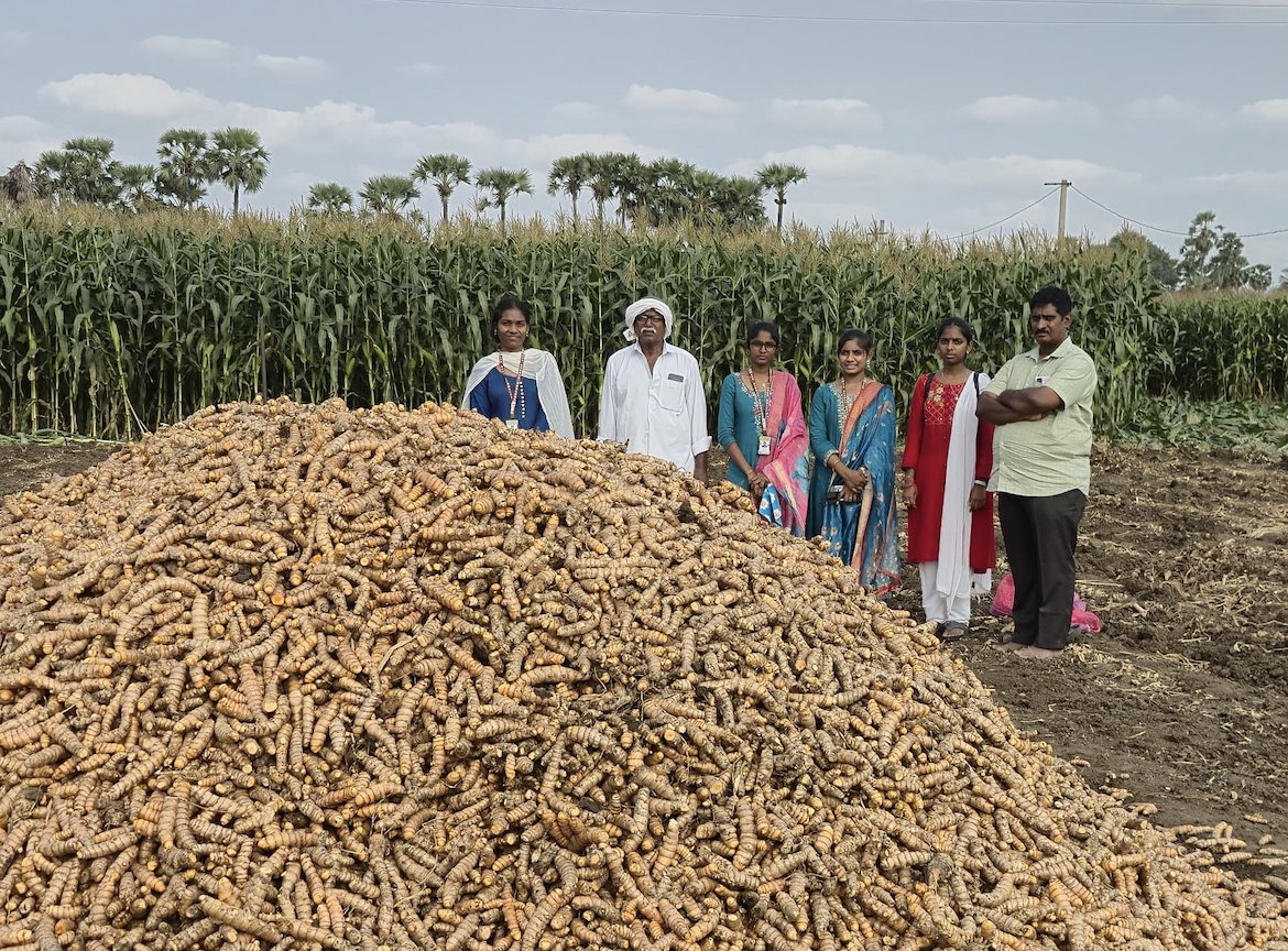 sreshtafarms's tweet image. Fresh from the soil, just the way nature grows it. This is turmeric in its most honest form. Simple, real, and full of goodness. 

Want to see how different our turmeric is? 

Order Now from sreshta.shop

#sreshtafarms #naturalturmeric #farmtokitchen