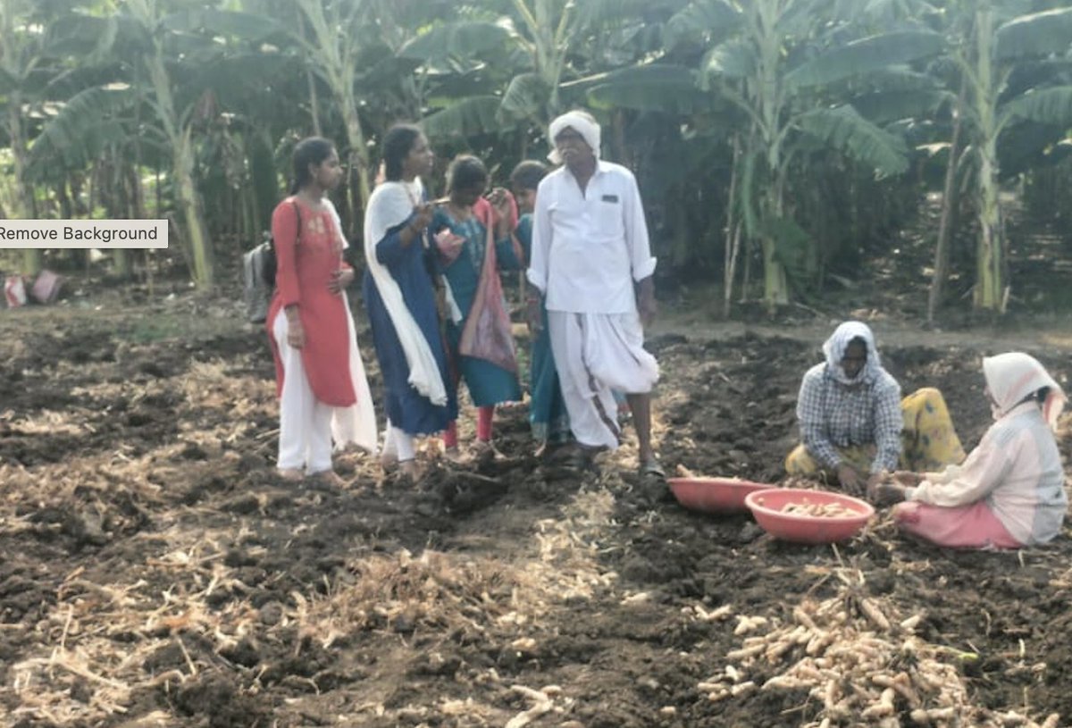 sreshtafarms's tweet image. Fresh from the soil, just the way nature grows it. This is turmeric in its most honest form. Simple, real, and full of goodness. 

Want to see how different our turmeric is? 

Order Now from sreshta.shop

#sreshtafarms #naturalturmeric #farmtokitchen
