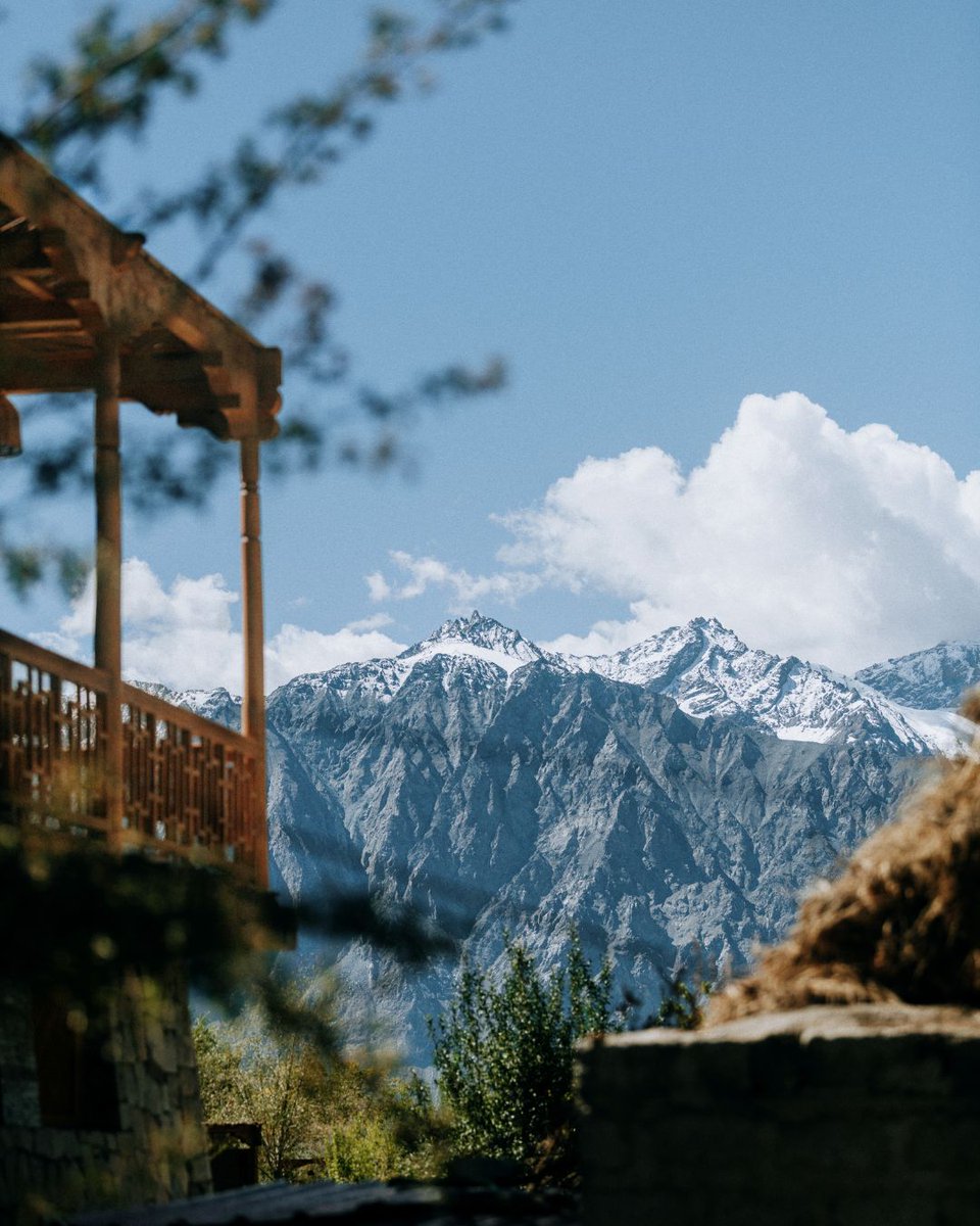 HIP Hotels tweet media