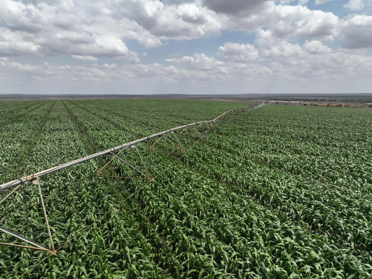 National Irrigation Authority tweet media