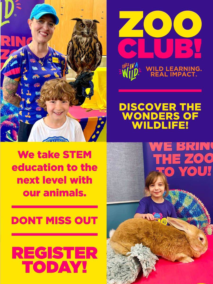 Once In A Wild tweet media