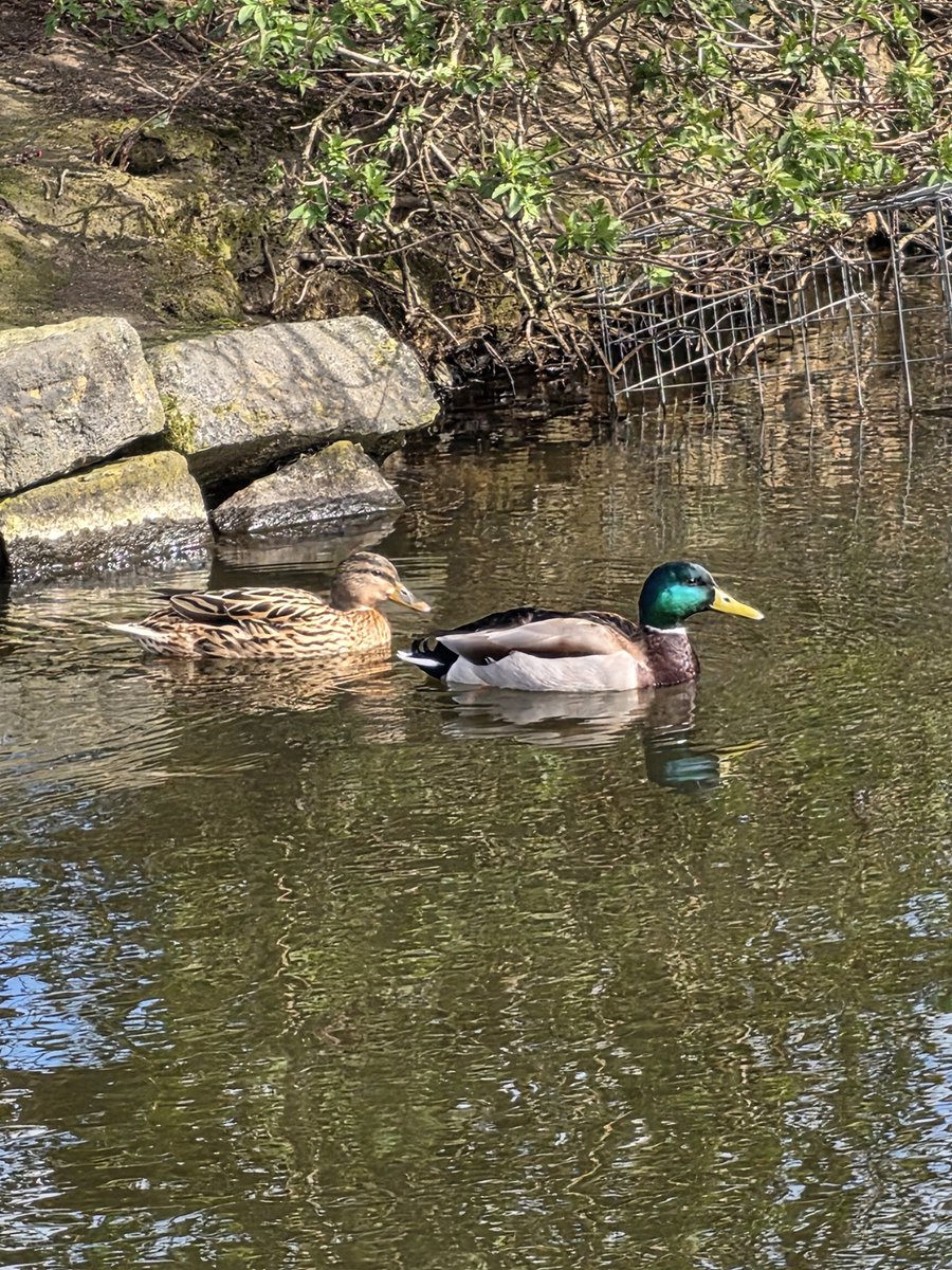 NathanialCollects tweet media