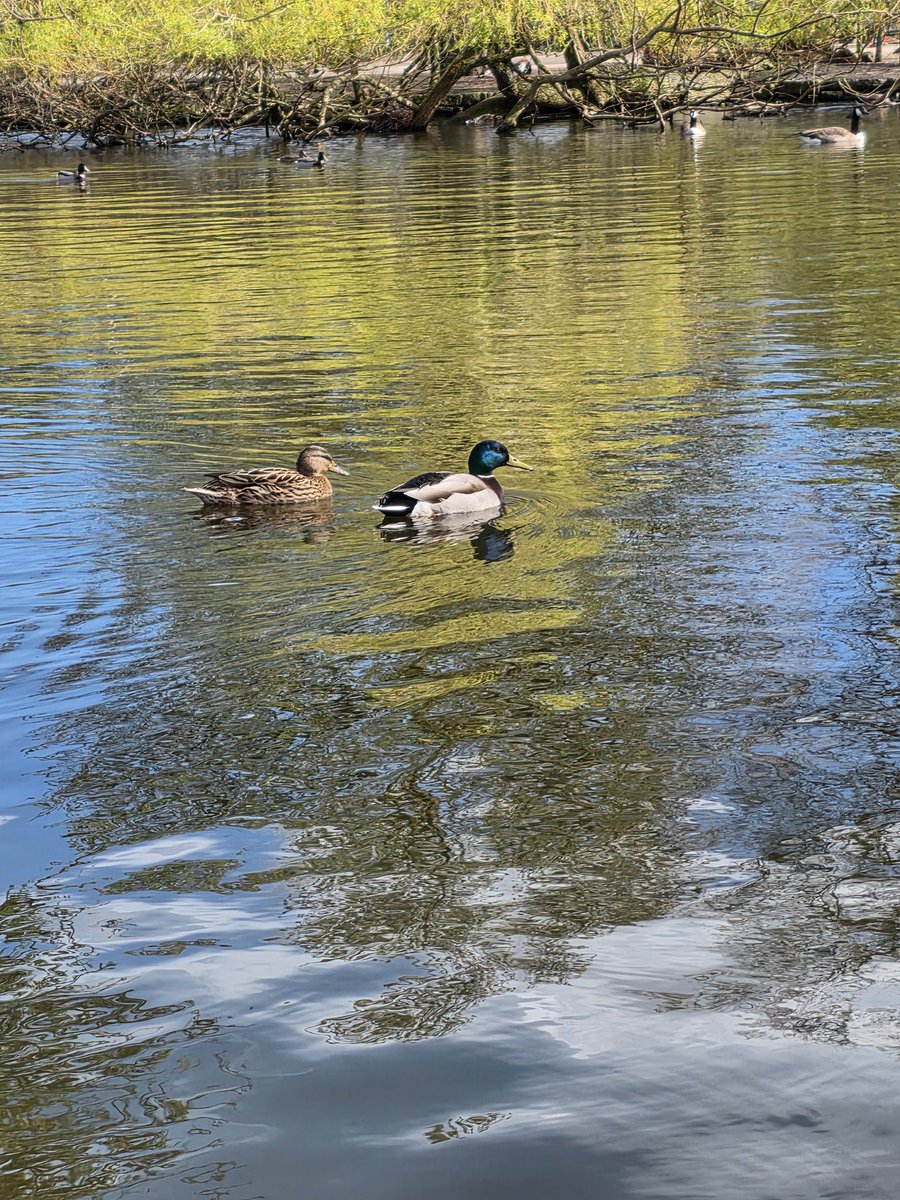 NathanialCollects tweet media