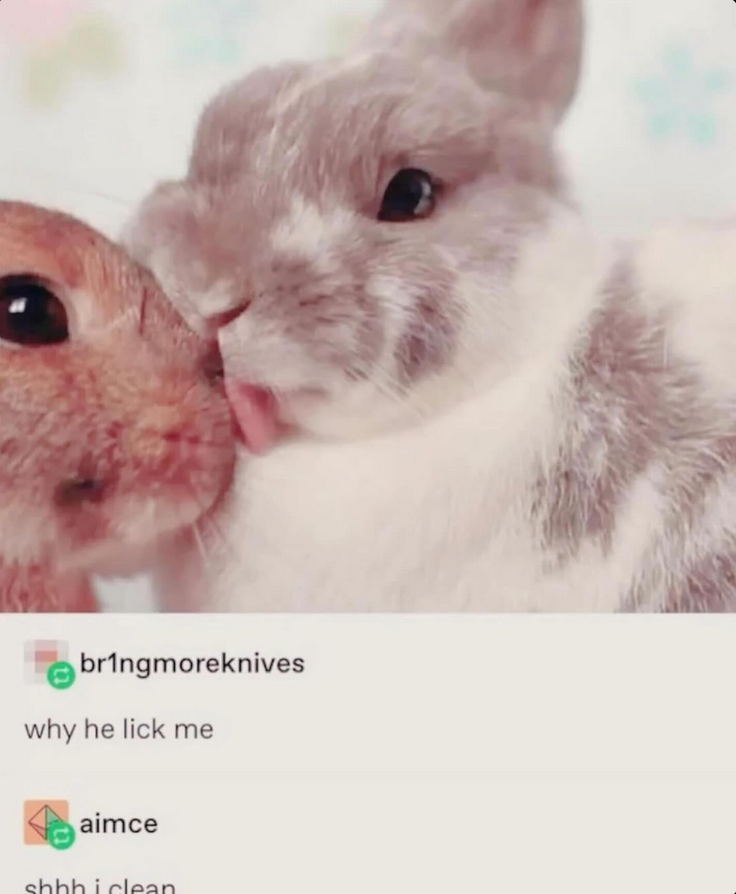 i drink soup tweet media