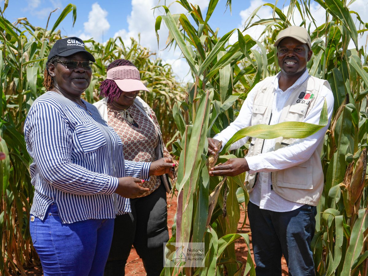 National Irrigation Authority tweet media