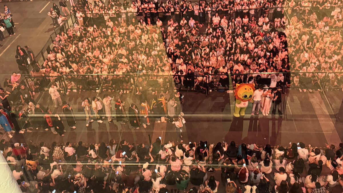 jerlee #molo tweet media