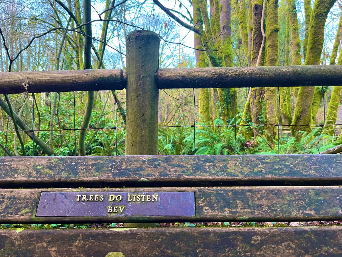 Samantha Collier tweet media