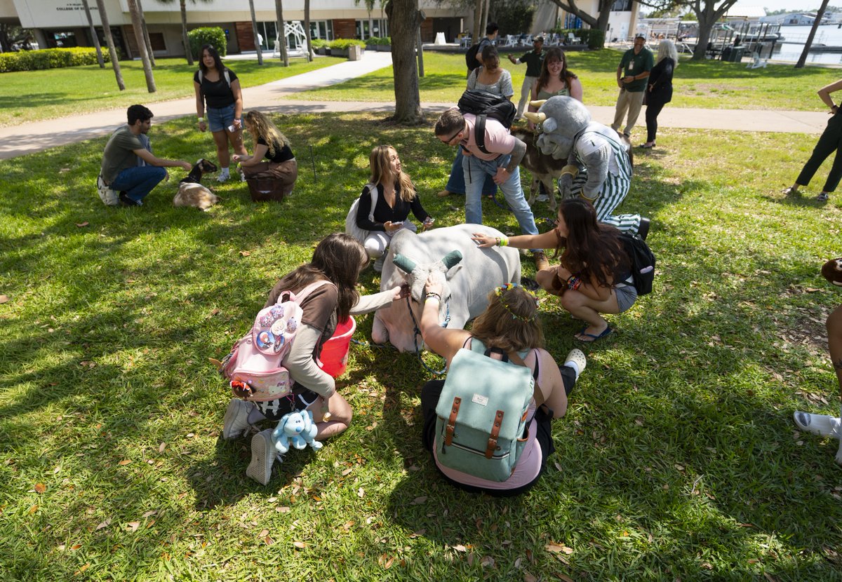 USF St. Petersburg tweet media